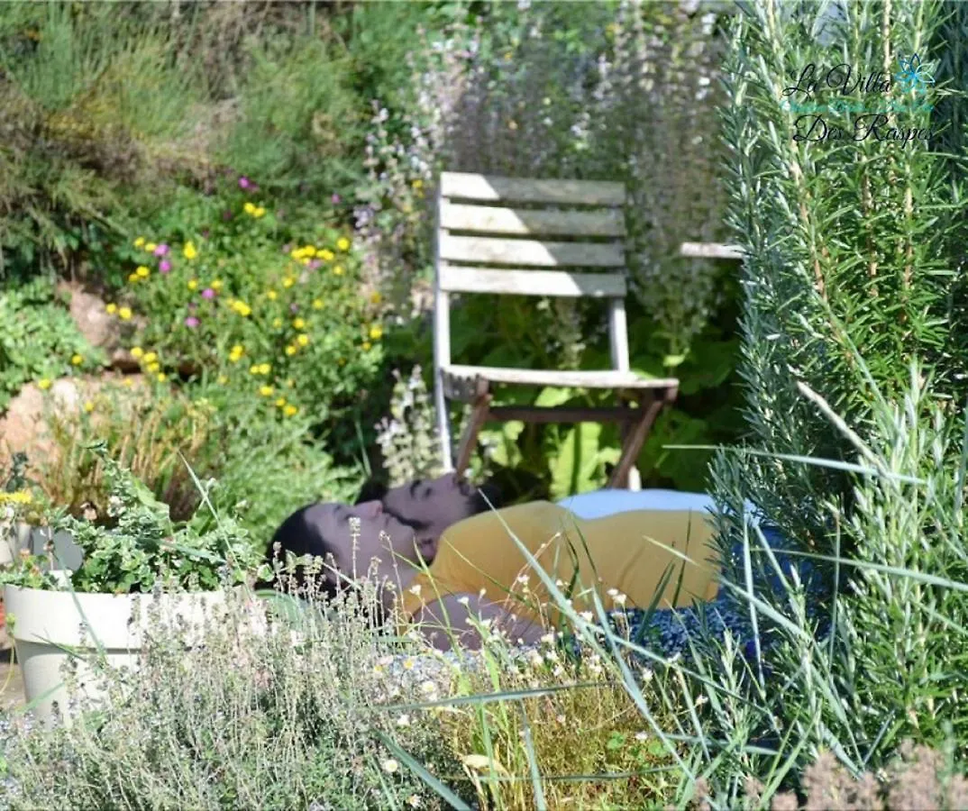 Couette-café La Villa Des Raspes  Séjour Bien être Viala-du-Tarn France