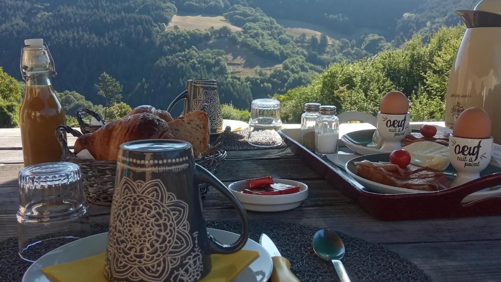 La Villa Des Raspes  Séjour Bien être Viala-du-Tarn